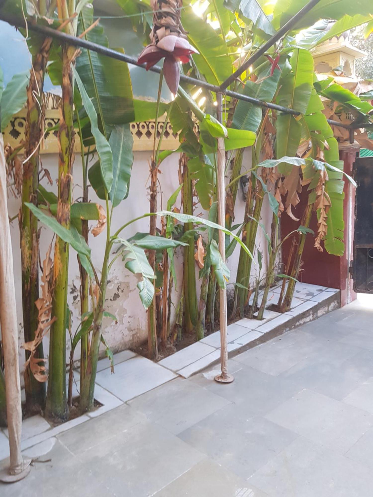 Ferienwohnung Sureli Haveli Jaipur Zimmer foto